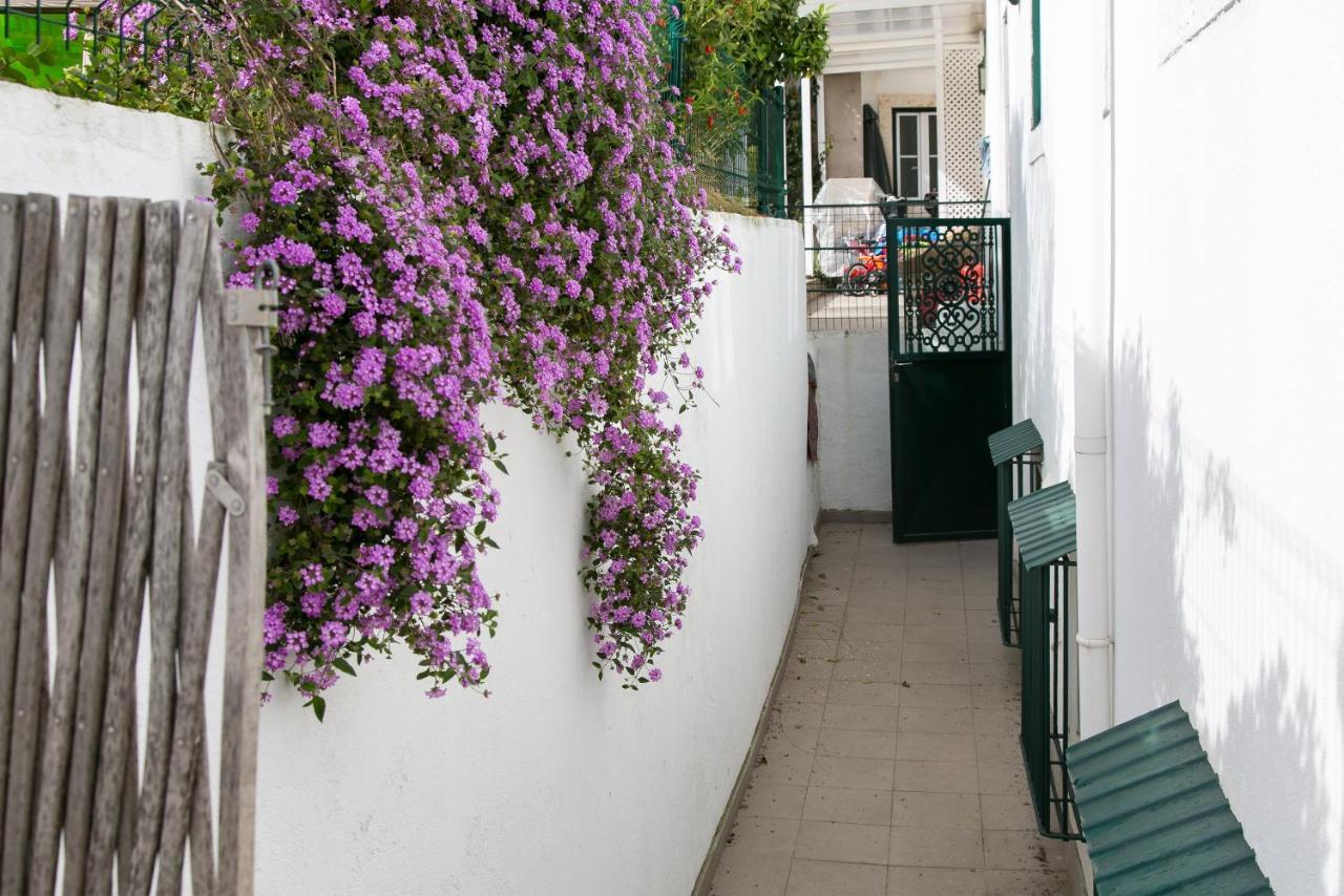 Dalma Flats - Garden *